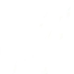 Meet your Posher, Angelica